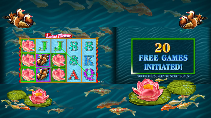 lotus flower slots online